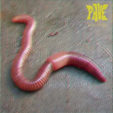 Worms