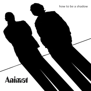 How to be a Shadow