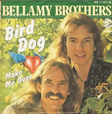 Bird Dog