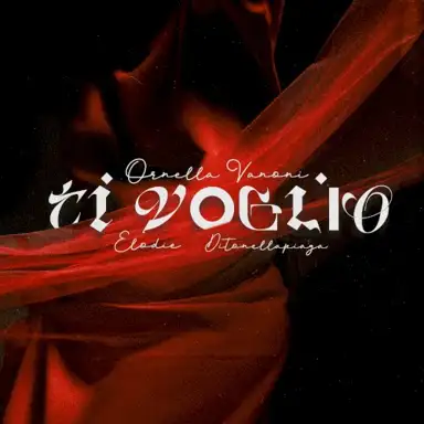 Ti voglio