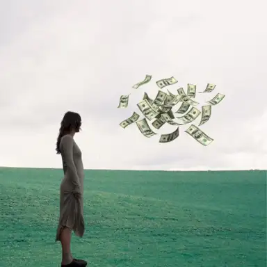 Money Bag