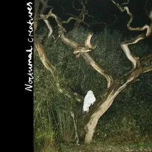 Nocturnal Creatures
