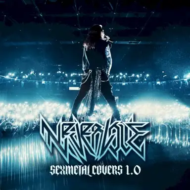SEXMETAL COVERS 1.0