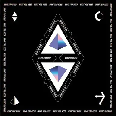 What You Need (NONSTOP Live Remix)