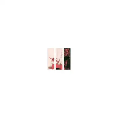 3NIGHTS (remix)