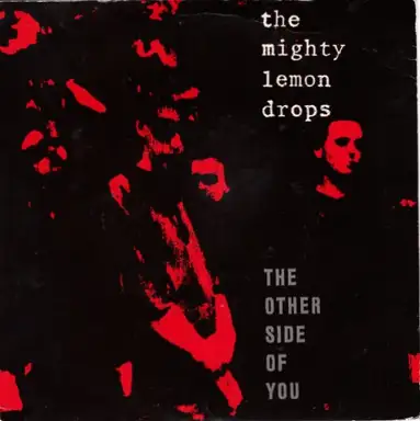The Other Side of You