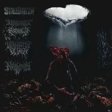 Pathology of Anomalous Origin