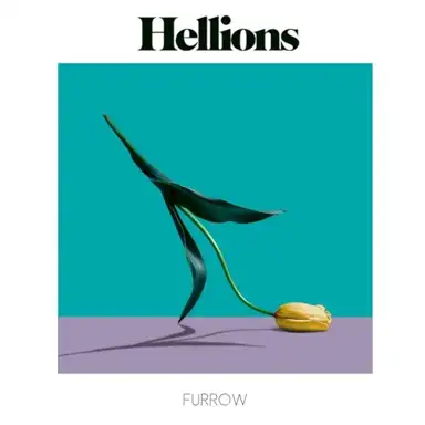 Furrow
