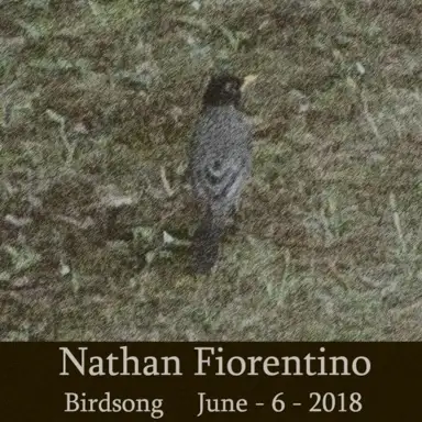 Birdsong June-6-2018