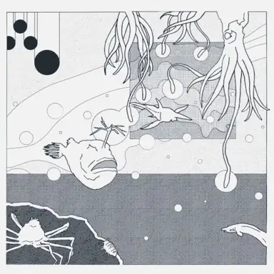 Dwellers of the Seabed