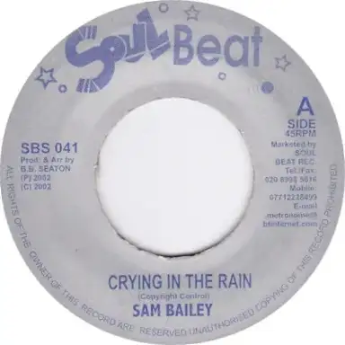 Crying in the Rain / Whole Again