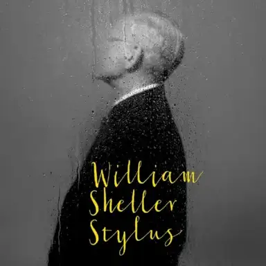 Stylus