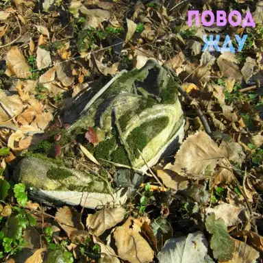 Жду