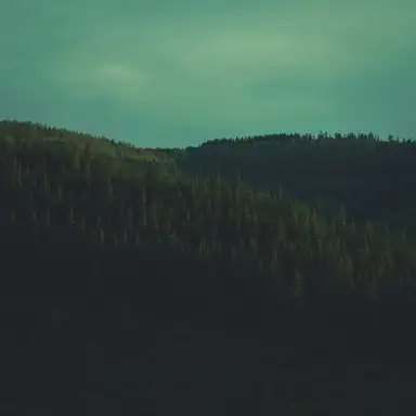 Blind Blues