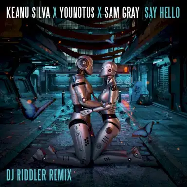 Say Hello (DJ Riddler mix)