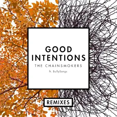 Good Intentions (remixes)