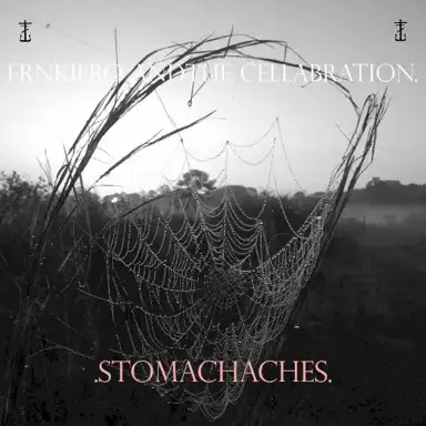 .Stomachaches.