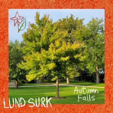 Autumn Falls