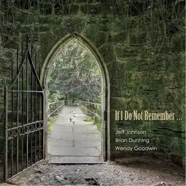 If I Do Not Remember…