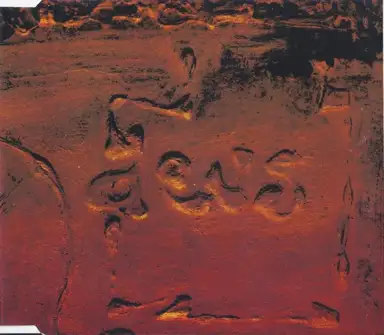 Zea