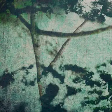 Rorschach