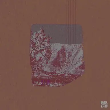 Northside Violet