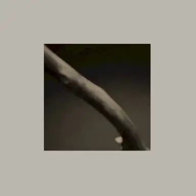 M - [ B ]