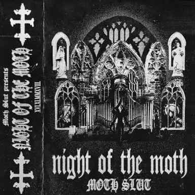 Night of the Moth