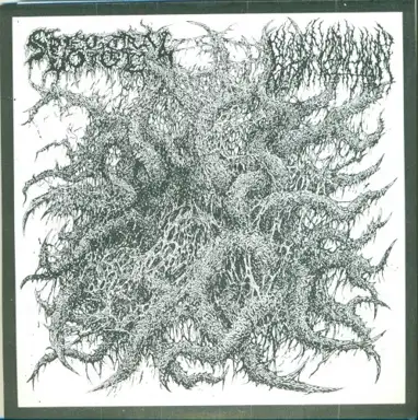 Spectral Voice / Blood Incantation