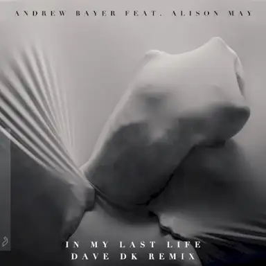 In My Last Life (Dave DK remix)