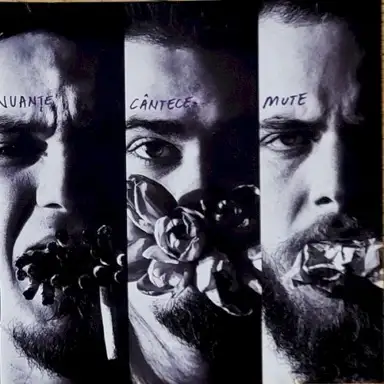 Cântece Mute