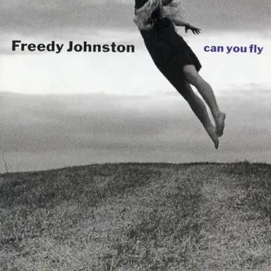 Can You Fly