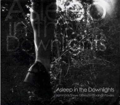Asleep in the Downlights