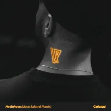No Echoes (Mees Salomé Remix)