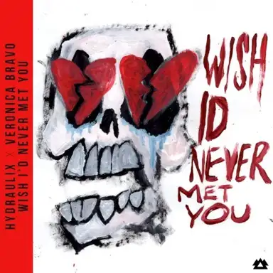 Wish I’d Never Met You