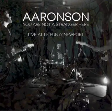 You Are Not a Stranger Here: Live at Le Pub // Newport