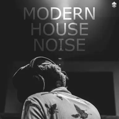 Modern House Noise