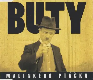 Malinkého ptáčka
