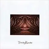 Trinity Roots