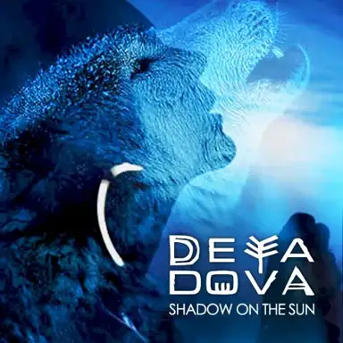 Shadow on the Sun
