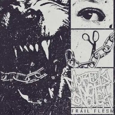 FRAIL FLESH