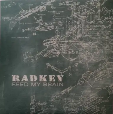 Feed My Brain