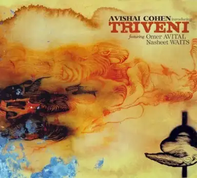 Introducing Triveni