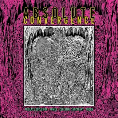 Absolute Convergence