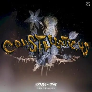 Constellations (Nihil Young remix)