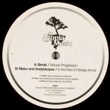 Natural Progression / In the Raw (D Bridge remix)