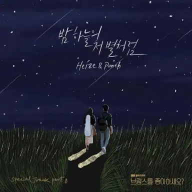 밤하늘의 저 별처럼 (브람스를 좋아하세요? OST 스페셜 트랙)