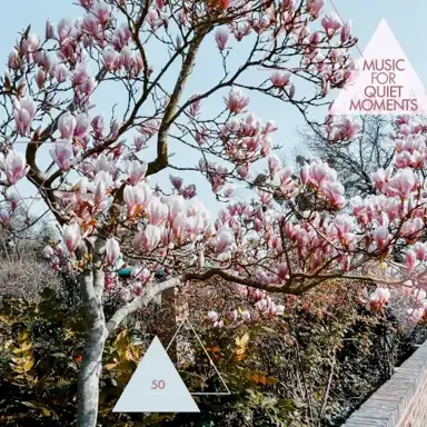 Music For Quiet Moments 50