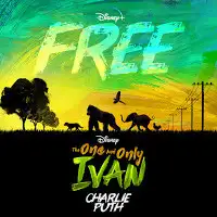 Free