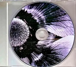 ANEMONE